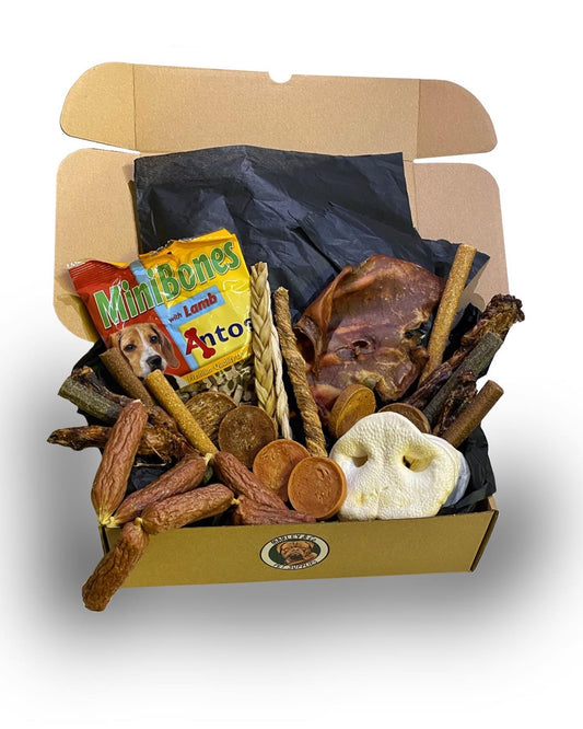 Festive Paws Delight: Christmas Dog Treat Box with Toy and Tasty Surprises!