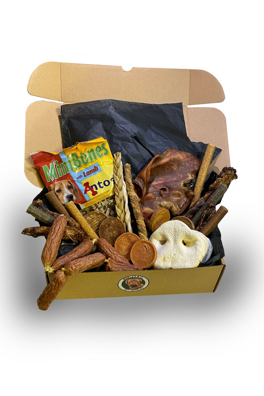 Treat Box for Small & Medium Dogs – Natural Treat Selection for Adult Dogs