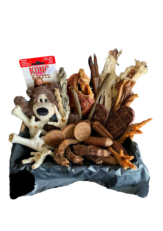 KONG Toy & Natural Dog Treat Box – Ultimate Chewer’s Gift Bundle