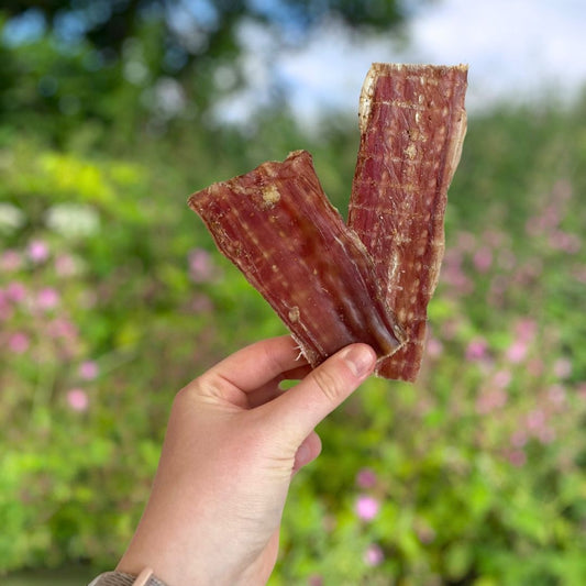 Beef Gullet Chewy Dog Treat