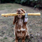 Giant Skin Rolls for Dogs (Bully, Goat, Lamb & Buffalo)