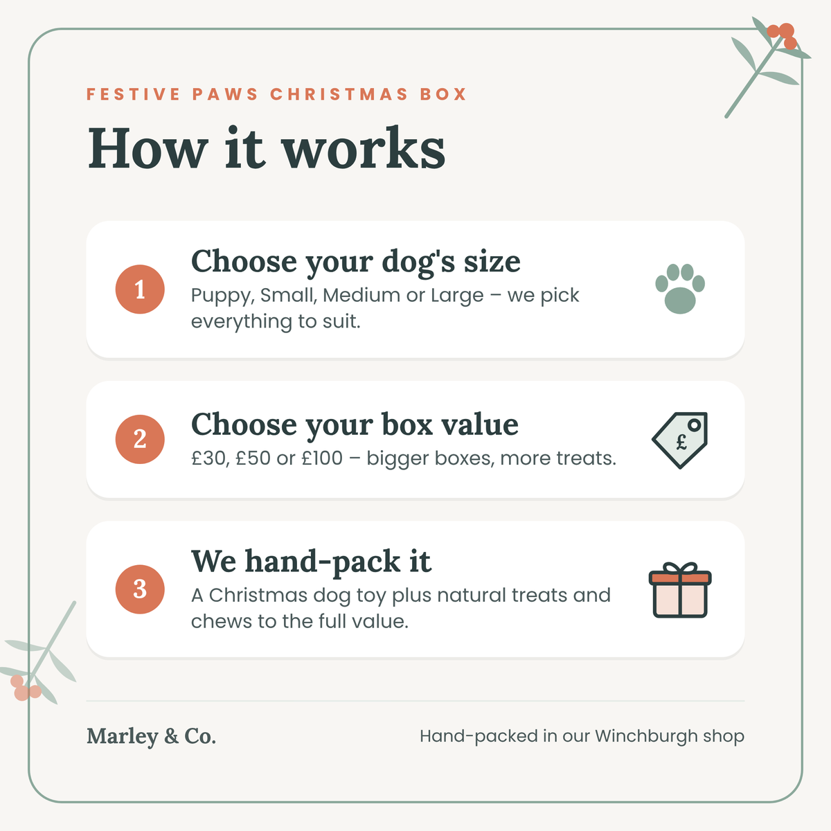 Christmas dog treat box hand-packed in Winchburgh