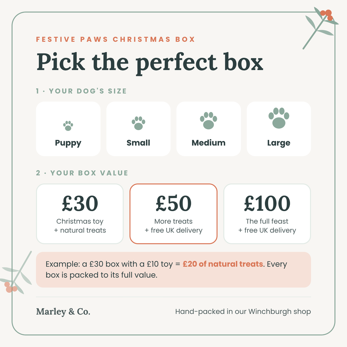 Festive Paws Christmas dog treat box gift