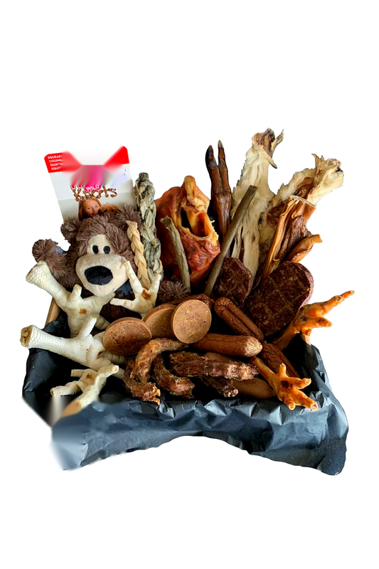 KONG Toy & Natural Dog Treat Box – Ultimate Chewer’s Gift Bundle