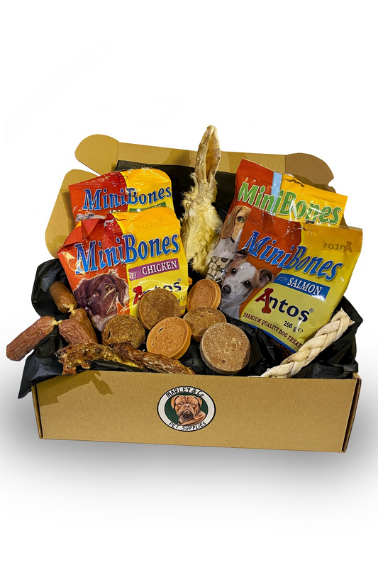 Festive Paws Delight: Christmas Dog Treat Box with Toy and Tasty Surprises!