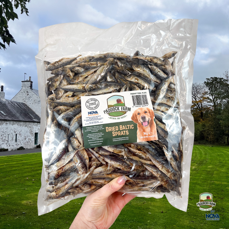 1kg Baltic Sprats