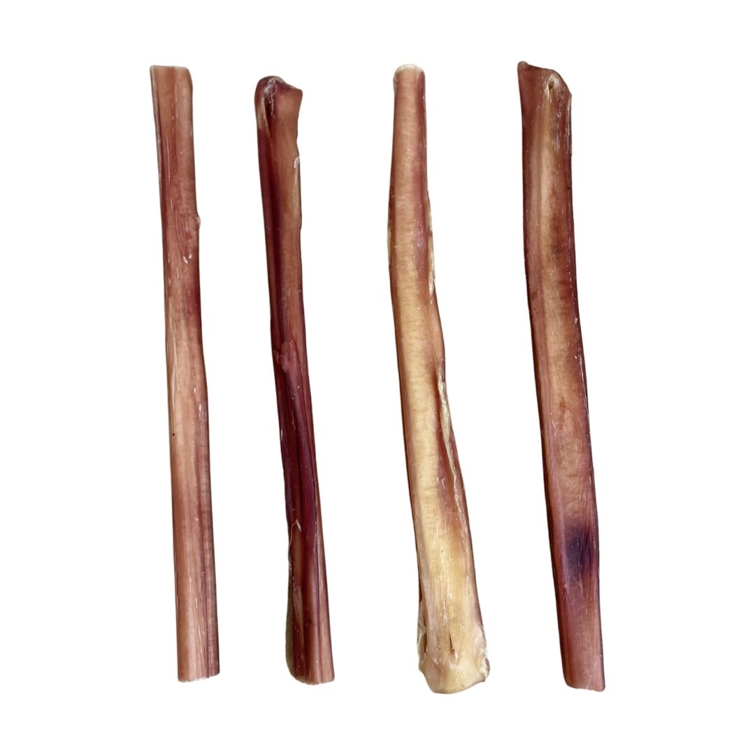 Bull pizzle bully stick dog chew, 24cm size