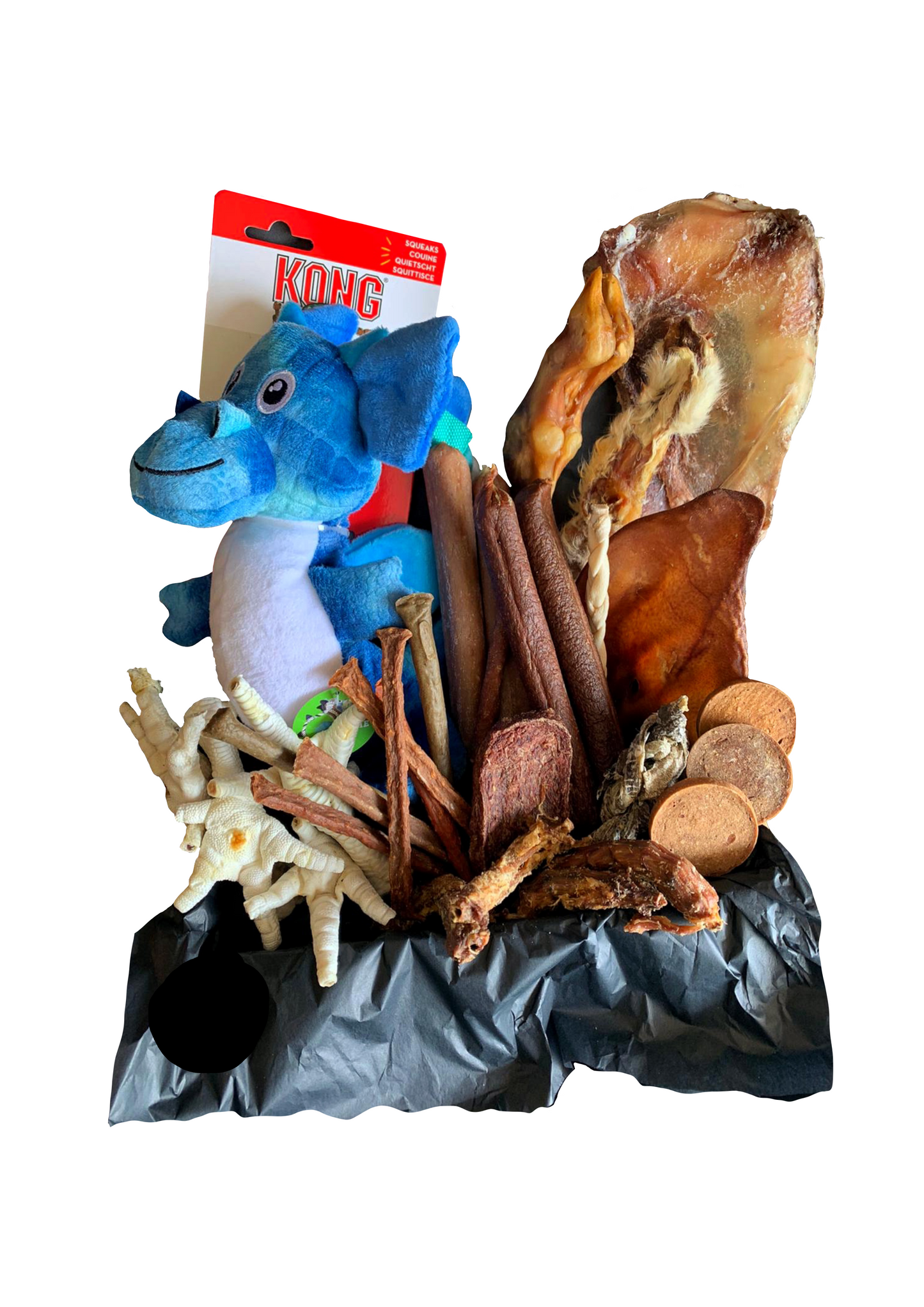 Natural Dog Treats with KONG Toy
