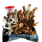 KONG Toy & Natural Dog Treat Box – Ultimate Chewer’s Gift Bundle