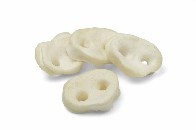 Medium Puffed Pig Snout